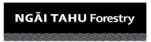 Ngai Tahu Forestry company logo