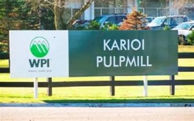 Karioi mill site eyed for wood-pellet
