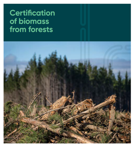 CBO-5181-felled logs in forest