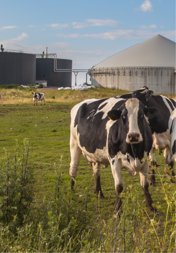 image: outlook for biogas and biomethane