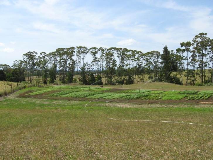 TNBG32 - crop and research, slide 22, 2009