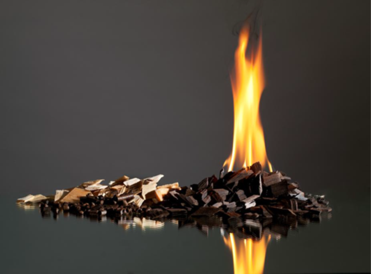 Efficient uses of biomass resources for bioenergy based on regional supply and demand in NZ report