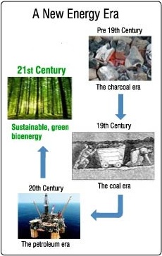 Bioenergy – the renewable fuel | Bioenergy Association of New Zealand Bioenergy – the renewable fuel | Bioenergy Association of New Zealand