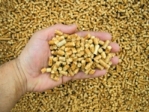 wood pellets