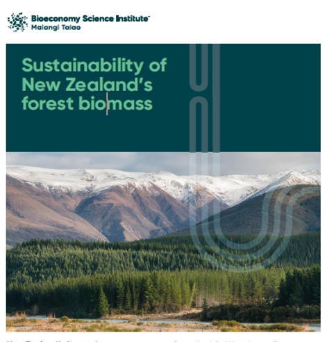 image-forest with snow-capped mountains in the background