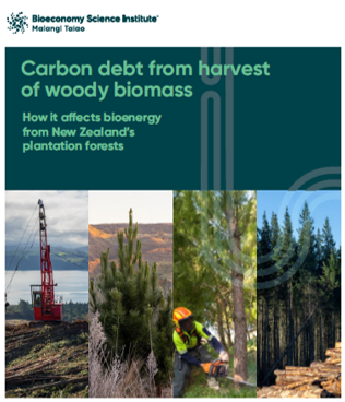 image-forestry landscape
